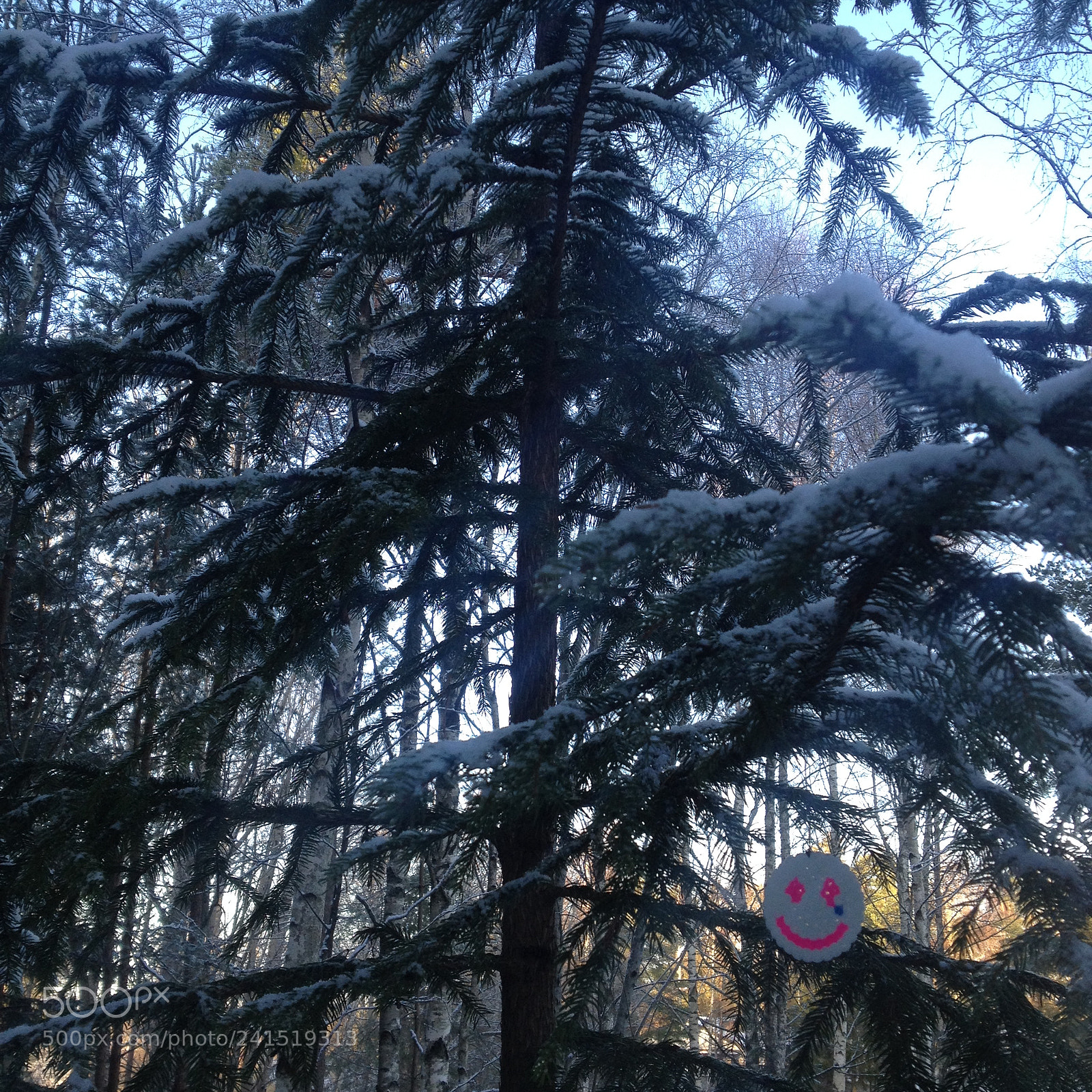 Apple iPhone 4S sample photo. :*) photography