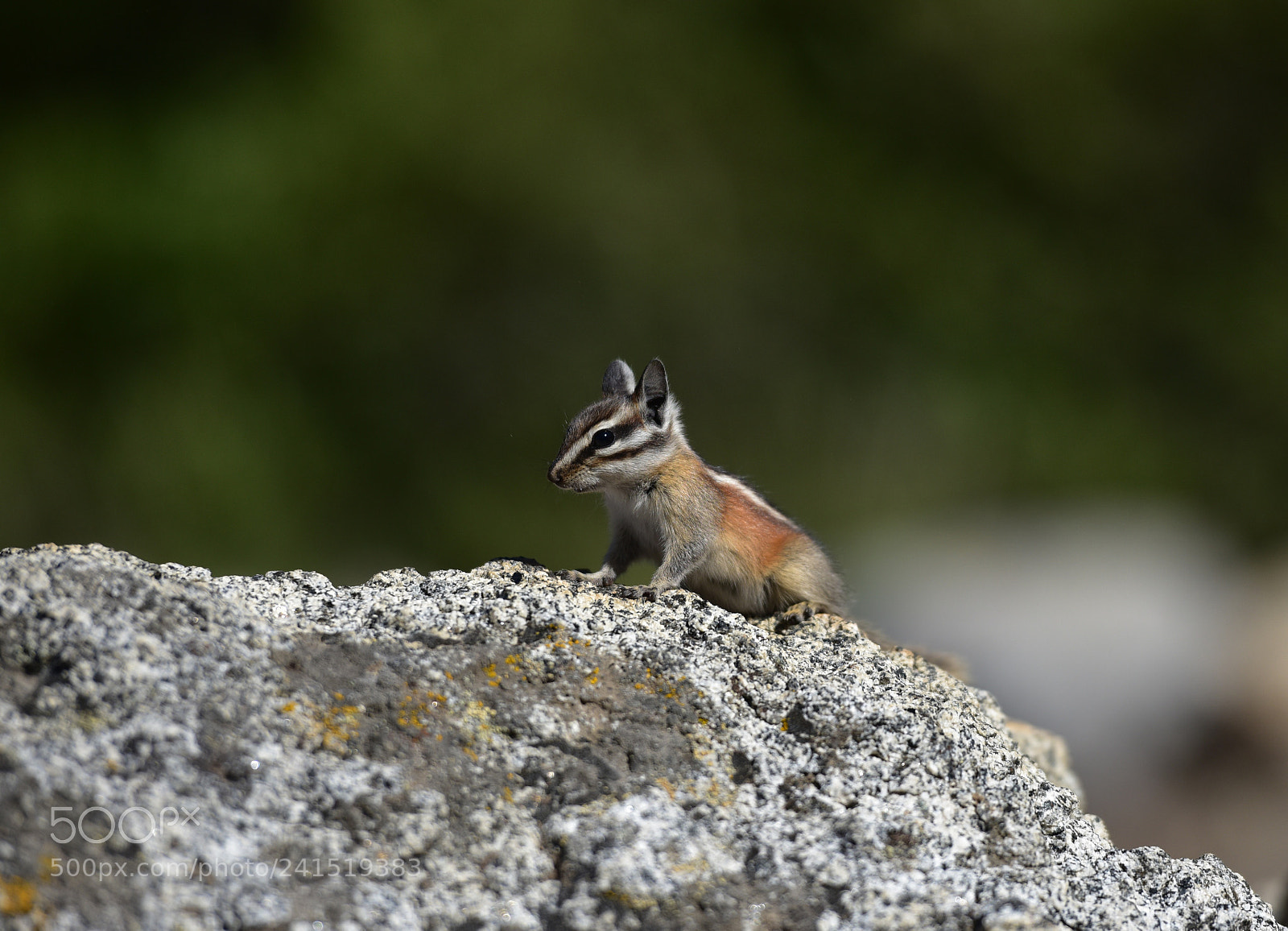 Nikon D810 sample photo. Untitled photography