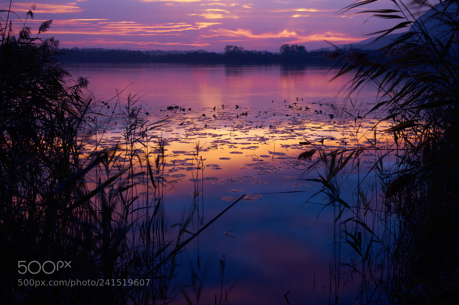 Sony a7 sample photo. Lago annone photography