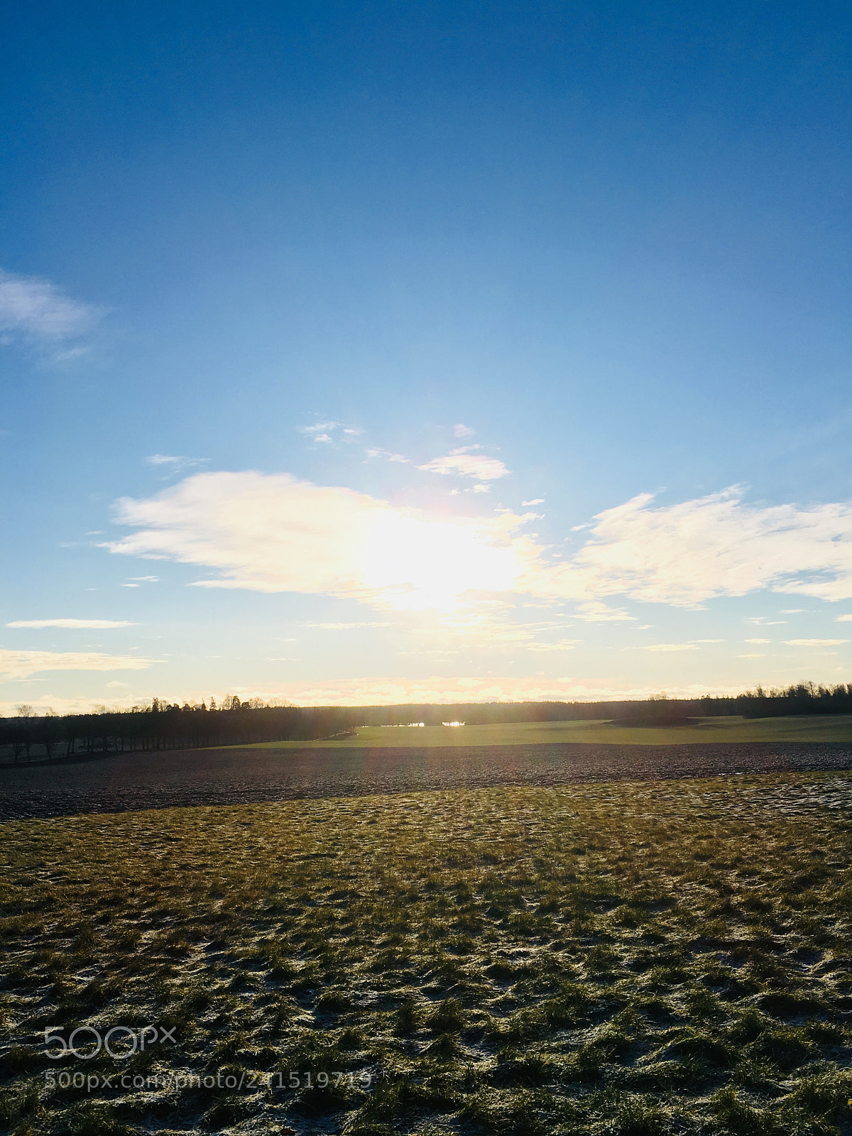 Apple iPhone 6s sample photo. The sun is shining photography