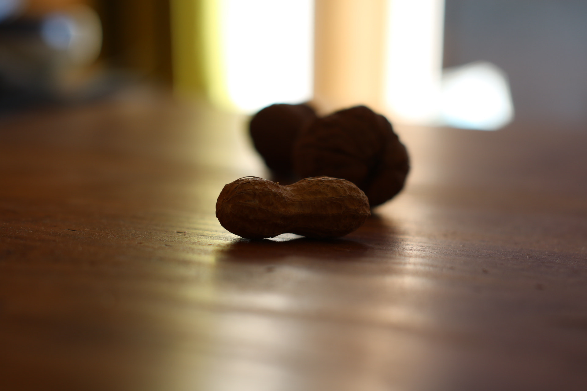 Canon 50mm sample photo. One peanut first place photography
