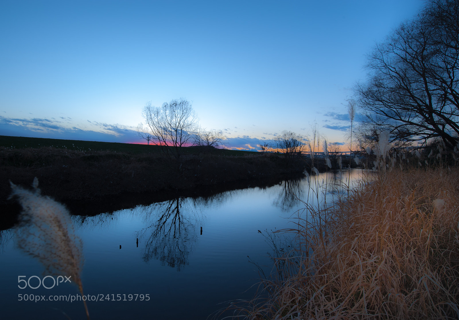Nikon D700 sample photo. Ray focal at river photography