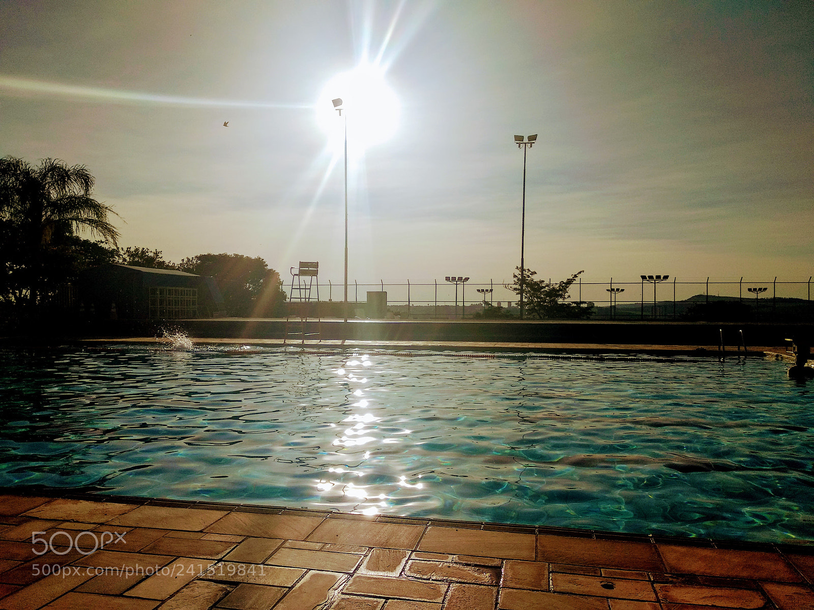 Xiaomi Mi A1 sample photo. Summer at vacation photography