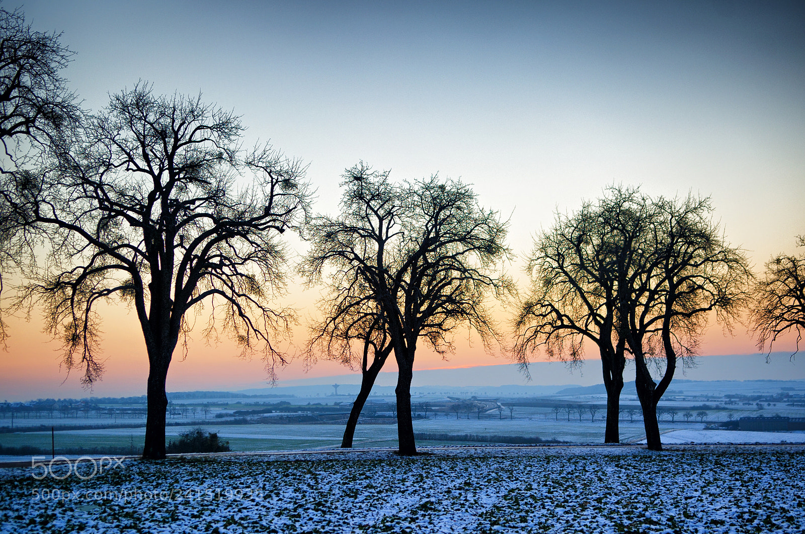 Nikon D3S sample photo. ... the cold morning photography