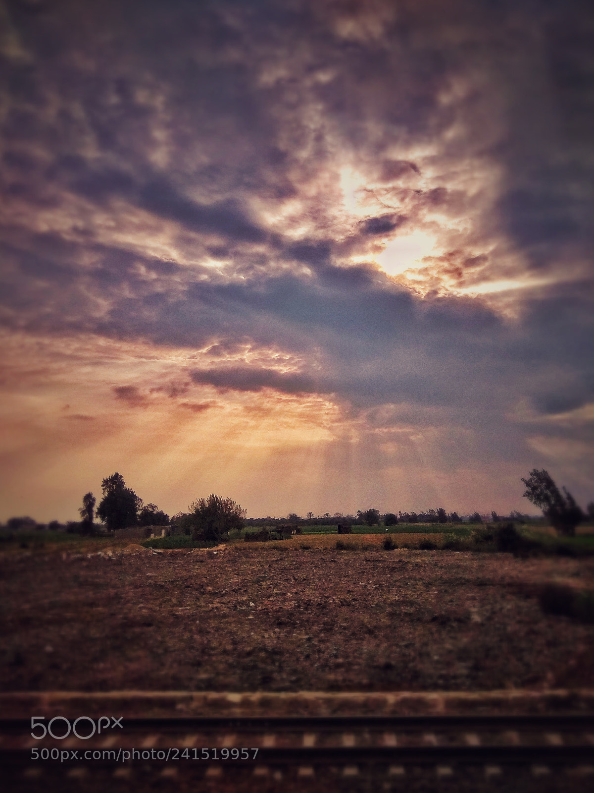 Xiaomi Redmi Note 4 sample photo. Untitled photography