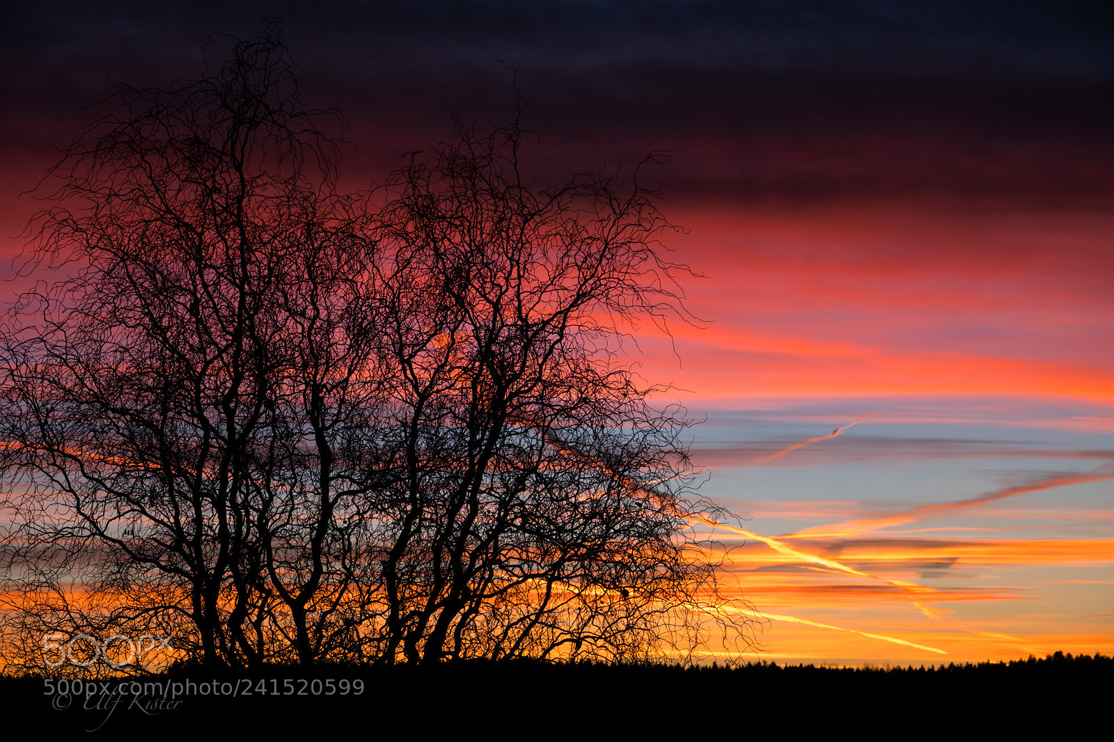 Sony Cyber-shot DSC-RX10 IV sample photo. Cristmas sunrise photography