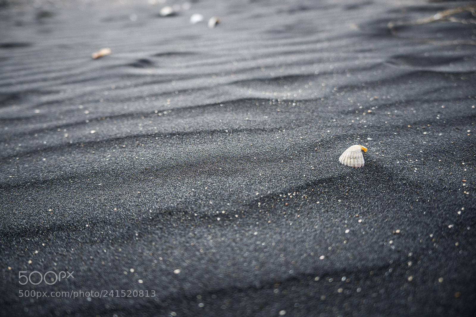 Sony a5100 sample photo. Black sands photography