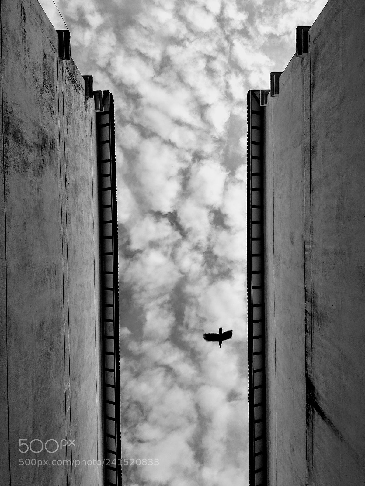Xiaomi Mi A1 sample photo. The sky black white photography