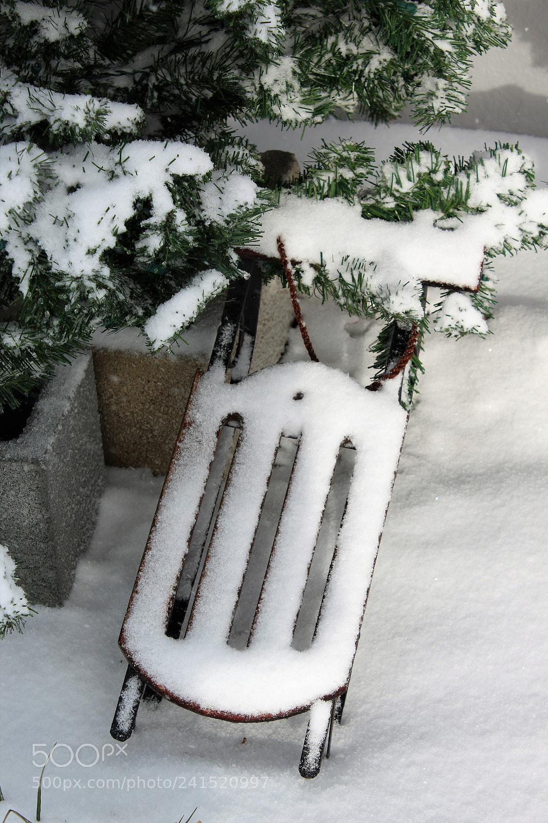 Canon EOS 1200D (EOS Rebel T5 / EOS Kiss X70 / EOS Hi) sample photo. First snow photography