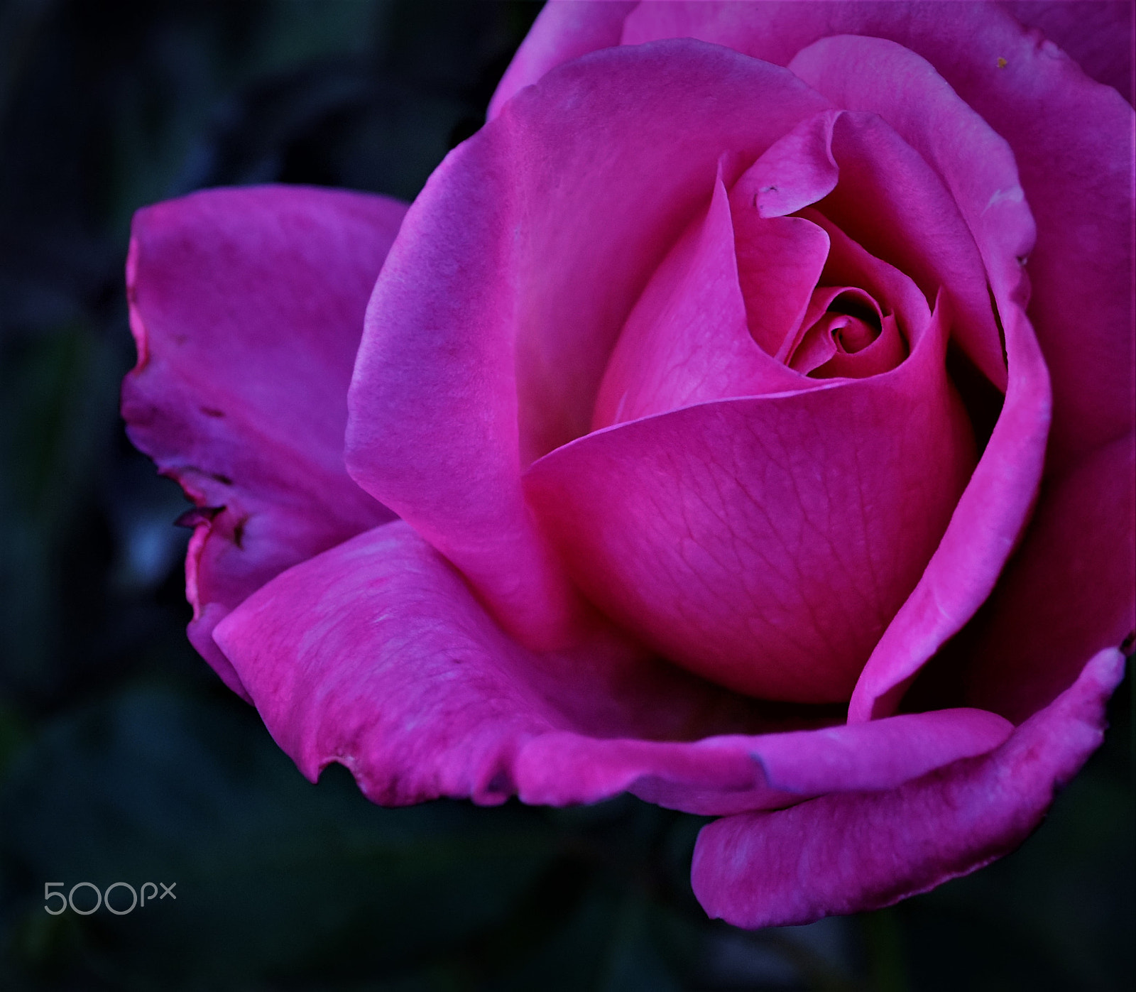 Nikon D7200 sample photo. Eine naturschönheit-a natural beauty photography