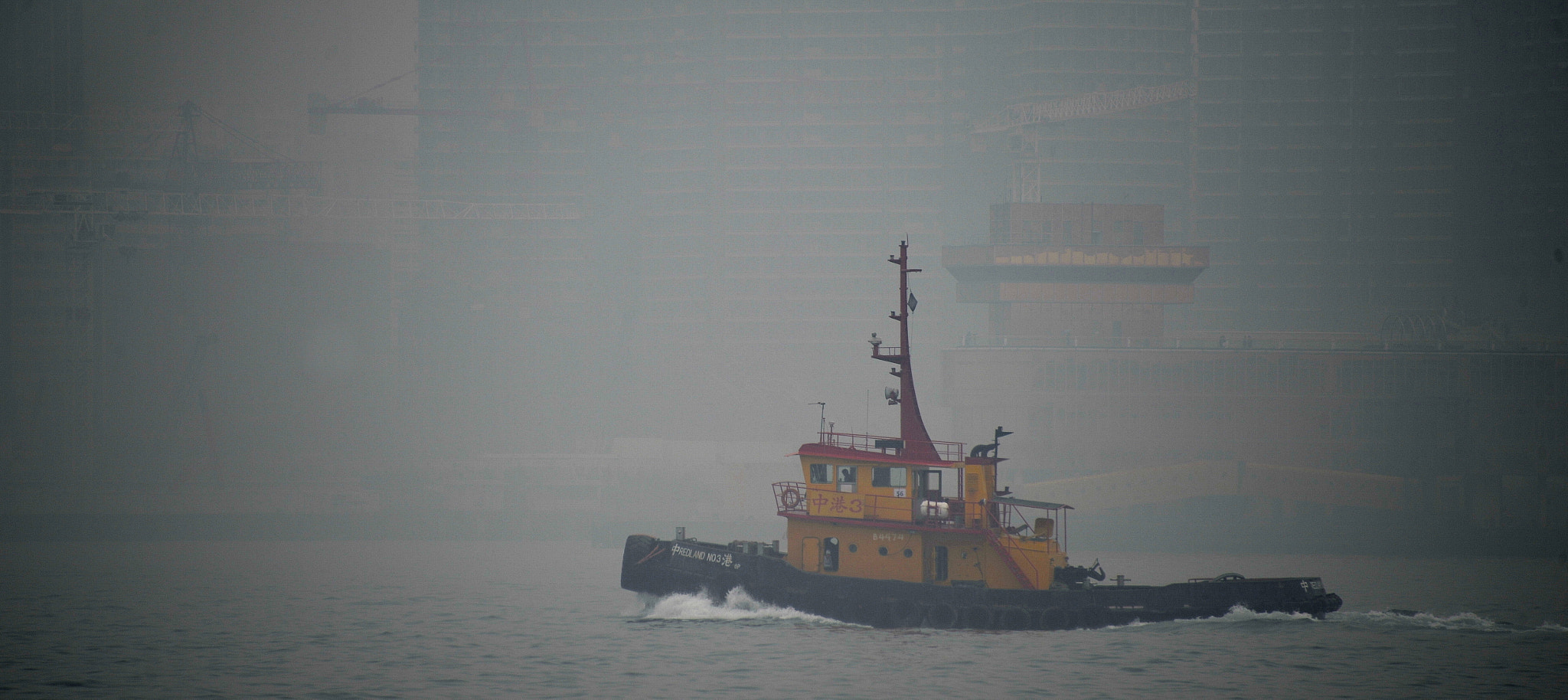 Nikon Df sample photo. Little colorful  tug in the fog photography
