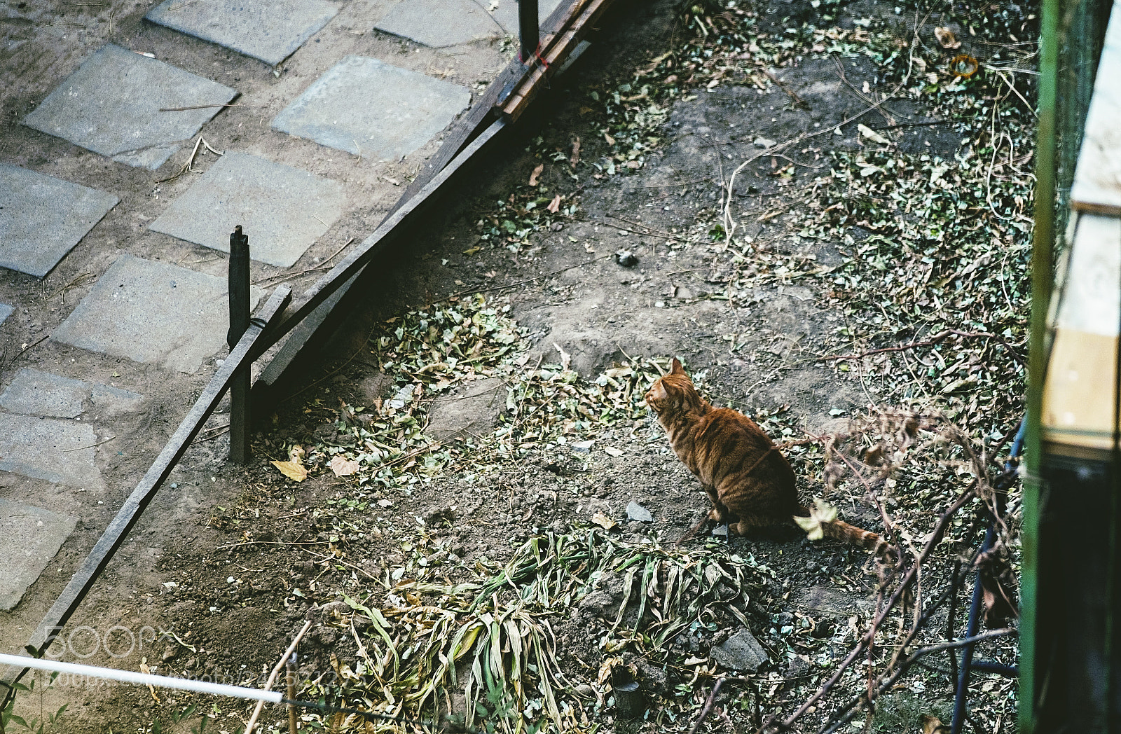 Fujifilm X-T20 sample photo. Pooping photography
