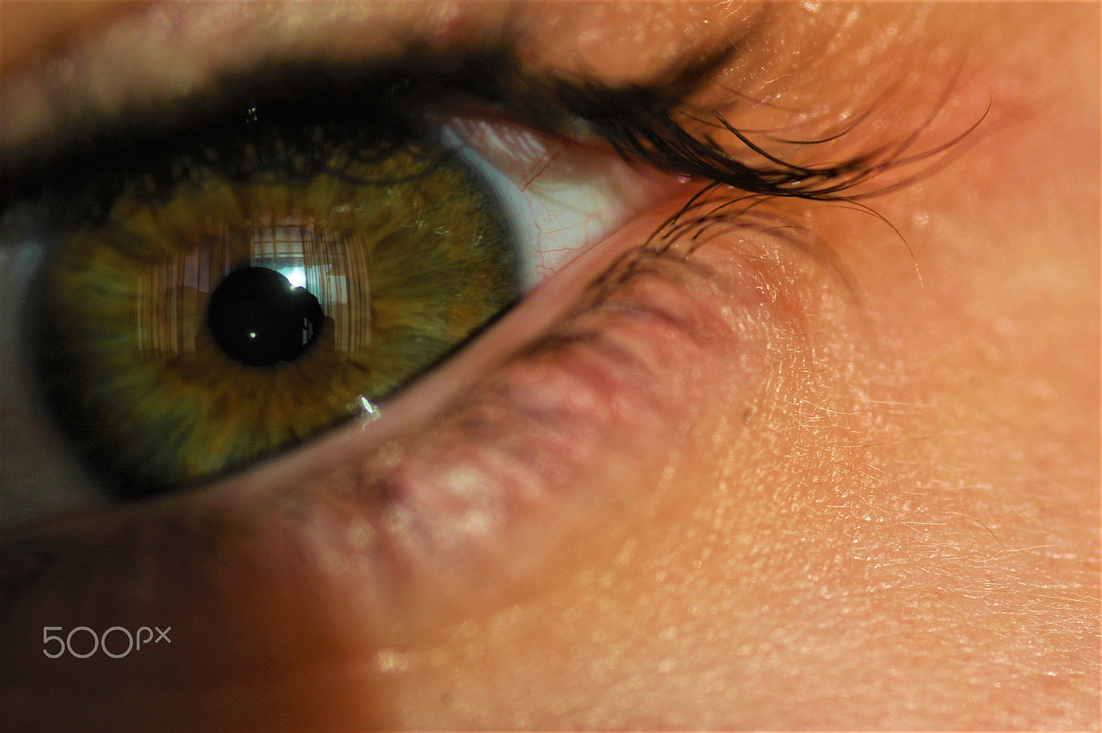 Nikon D70s sample photo. Eye-contact photography