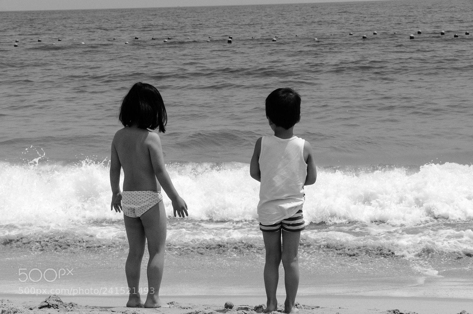 Nikon D90 sample photo. First time at the photography