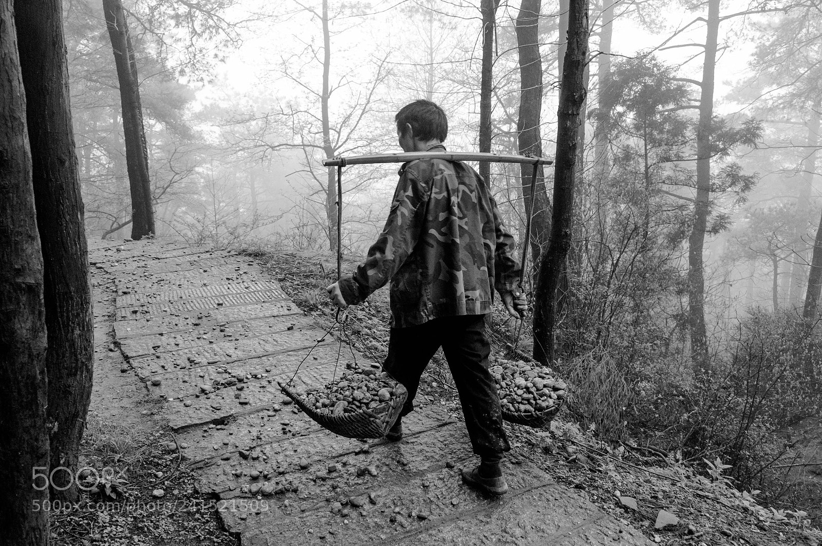 Nikon D90 sample photo. Forest worker photography