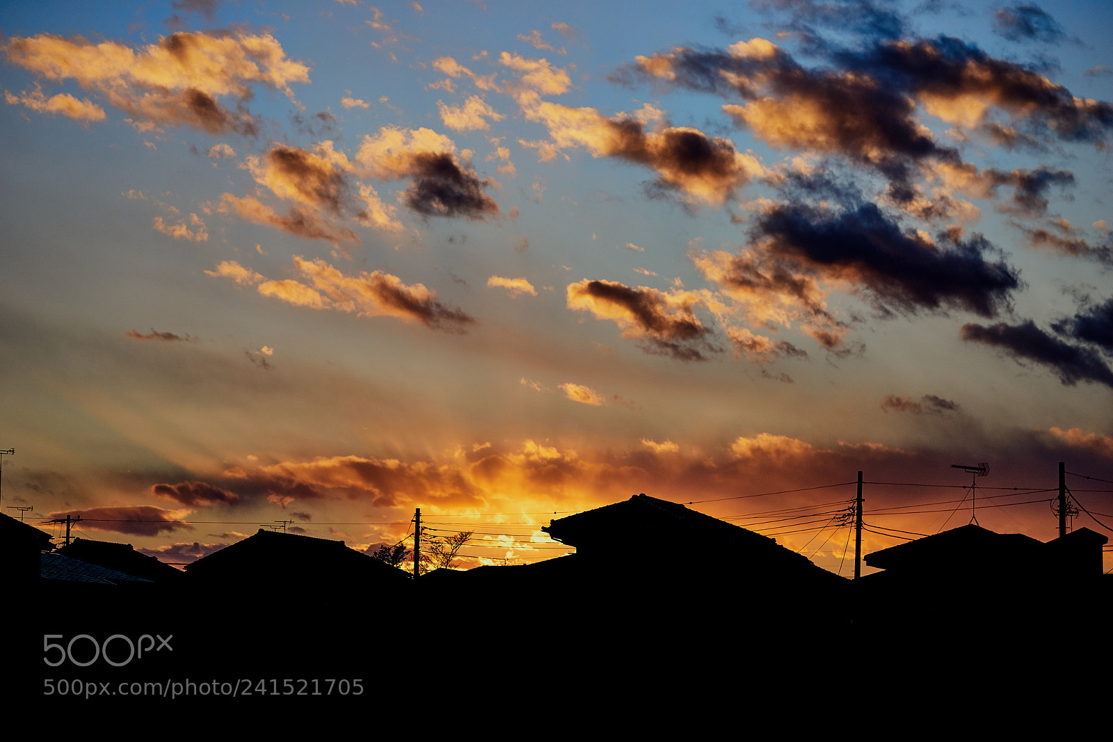 Sony a7 sample photo. Street 240 photography