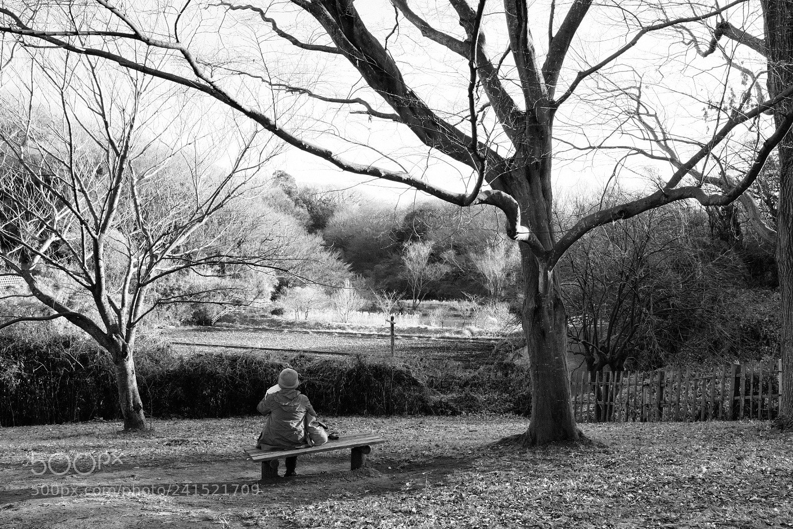 Fujifilm X100F sample photo. Bench photography