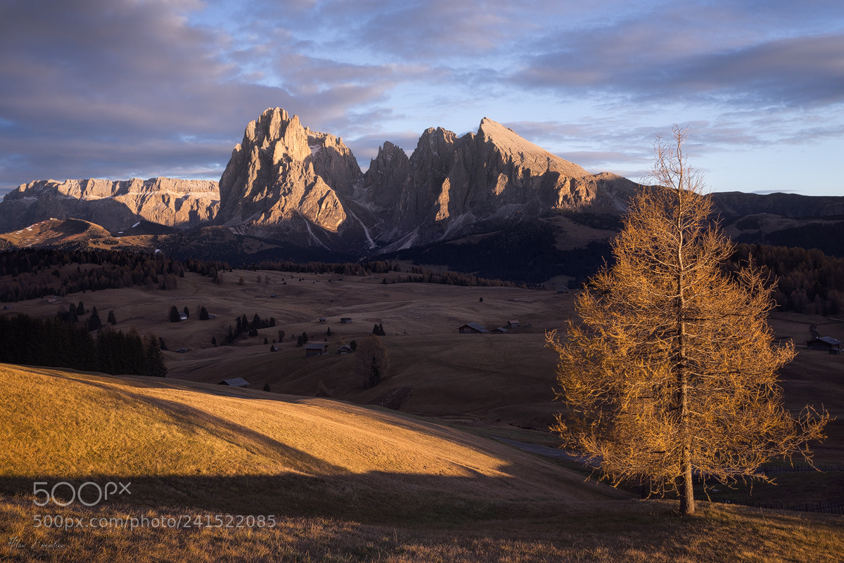Sony a7R sample photo. Alpi di siusi photography