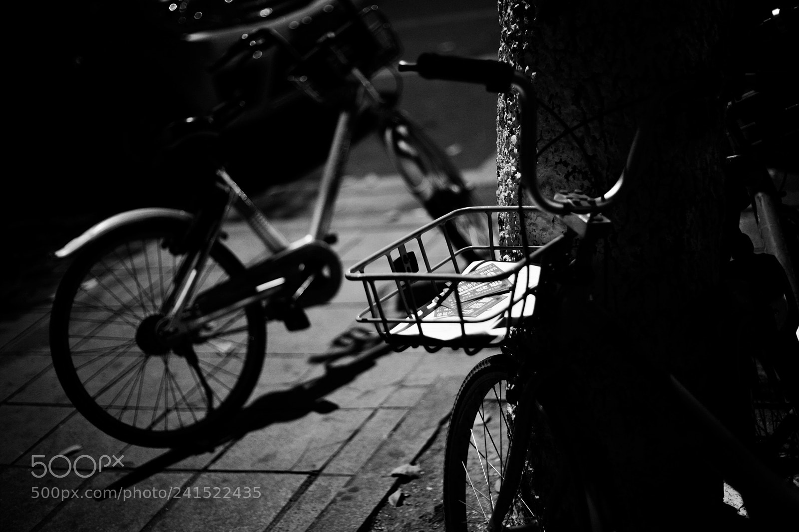 Canon EOS 5D sample photo. Untitled photography