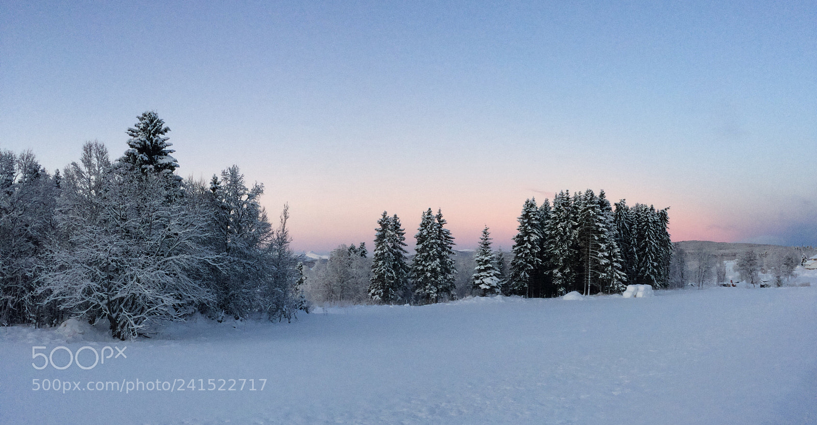 Apple iPhone 5s sample photo. Skånland photography