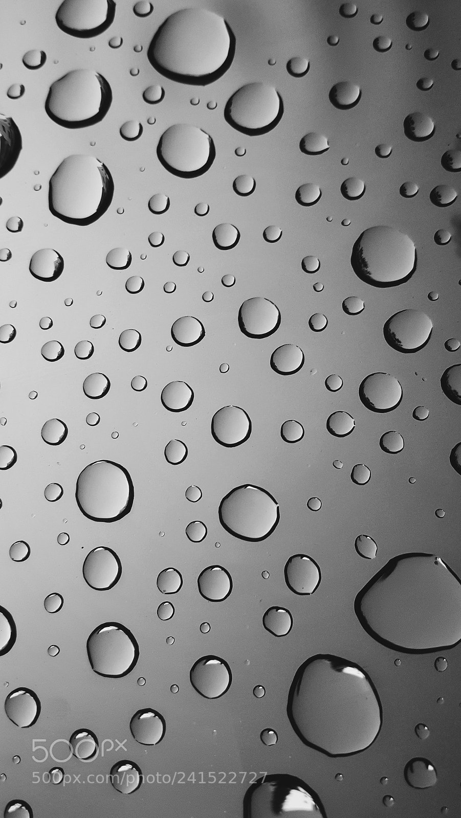 Samsung Galaxy S6 sample photo. Raindrop

/reɪndrɒp/ photography