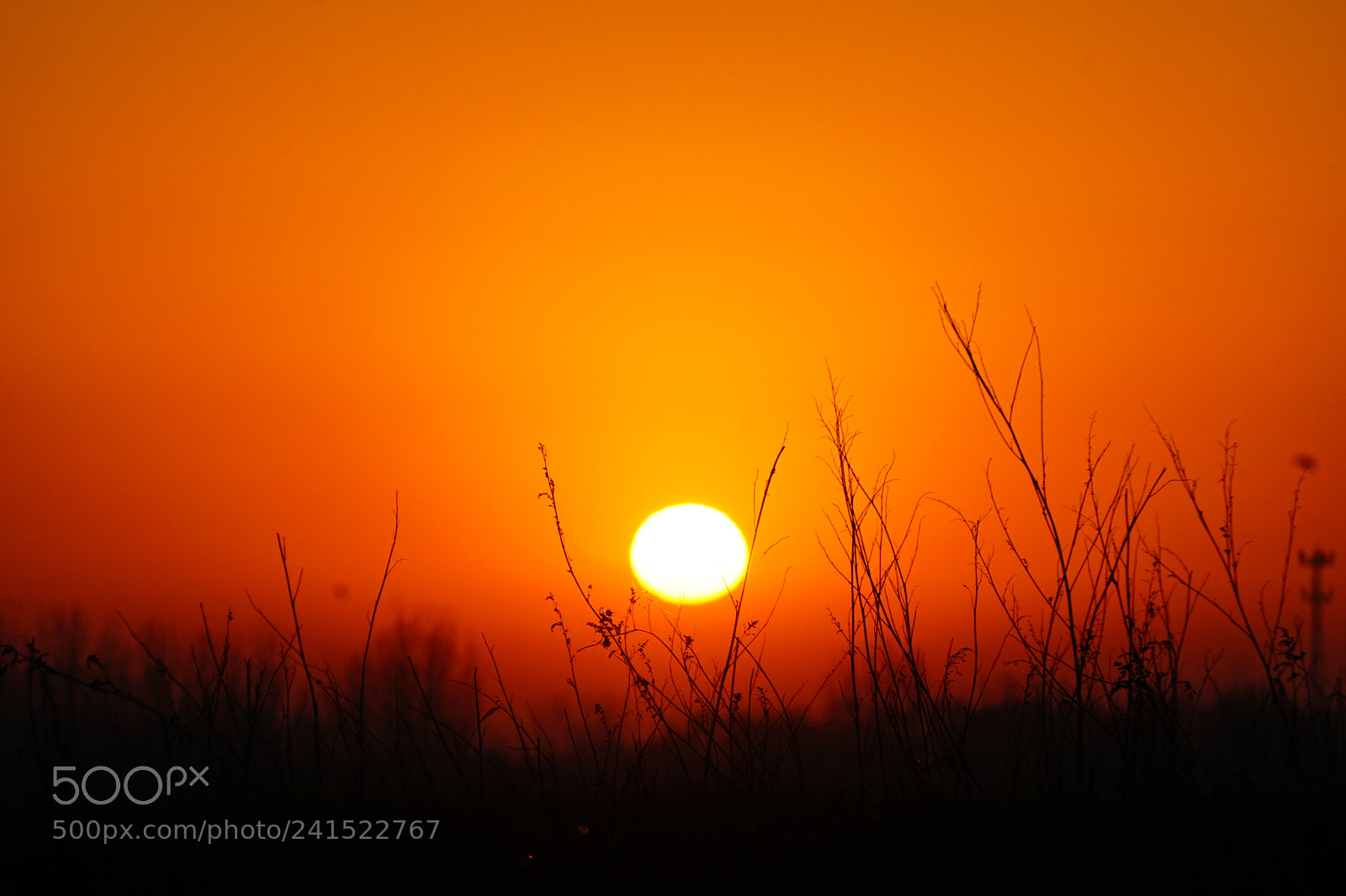 Sony E 55-210mm F4.5-6.3 OSS sample photo. Here comes the sun photography