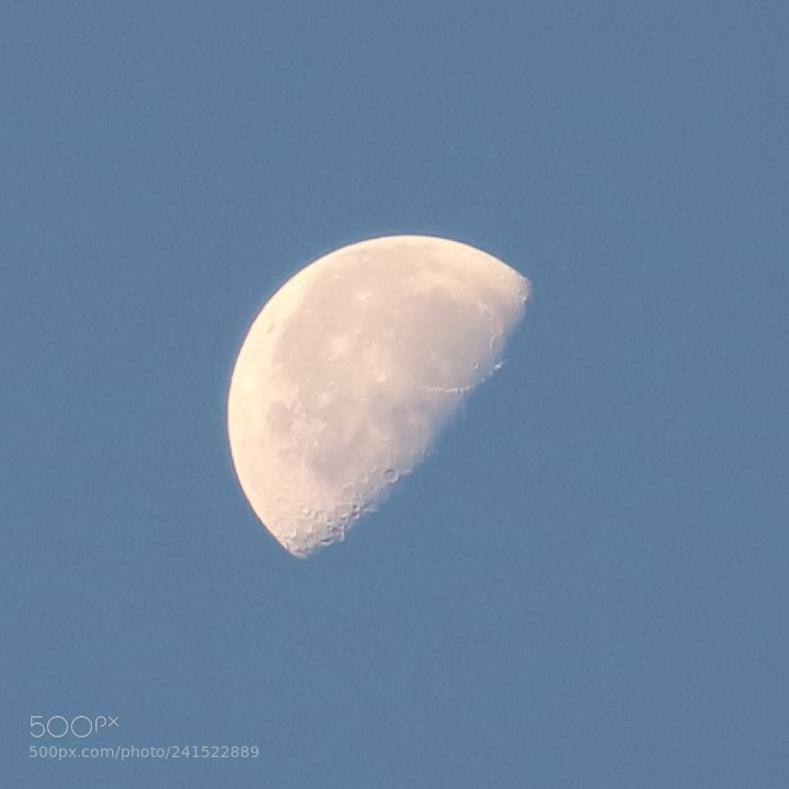 Canon EOS 750D (EOS Rebel T6i / EOS Kiss X8i) sample photo. Morning moon photography
