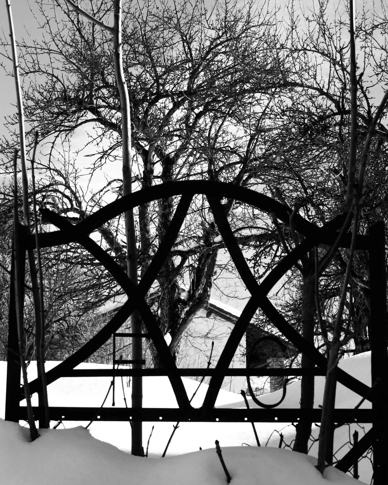 Canon XC10 sample photo. Gate to the snow photography