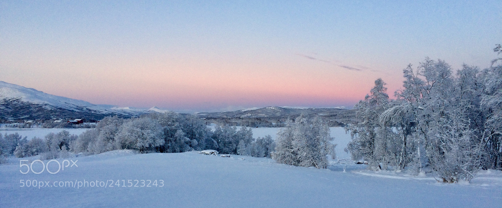 Apple iPhone 5s sample photo. Skånland photography
