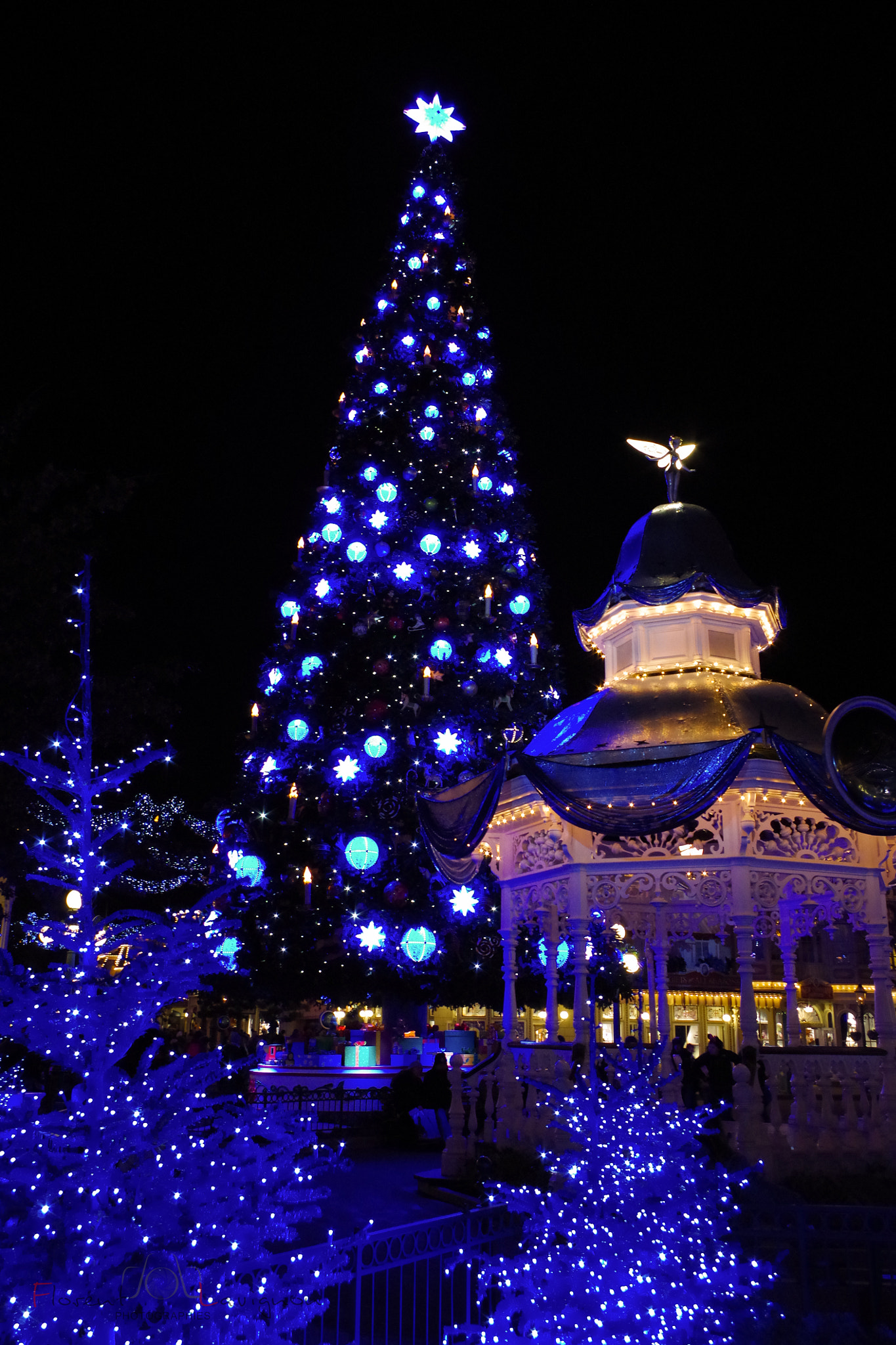 Pentax K-S1 sample photo. Christmas tree photography