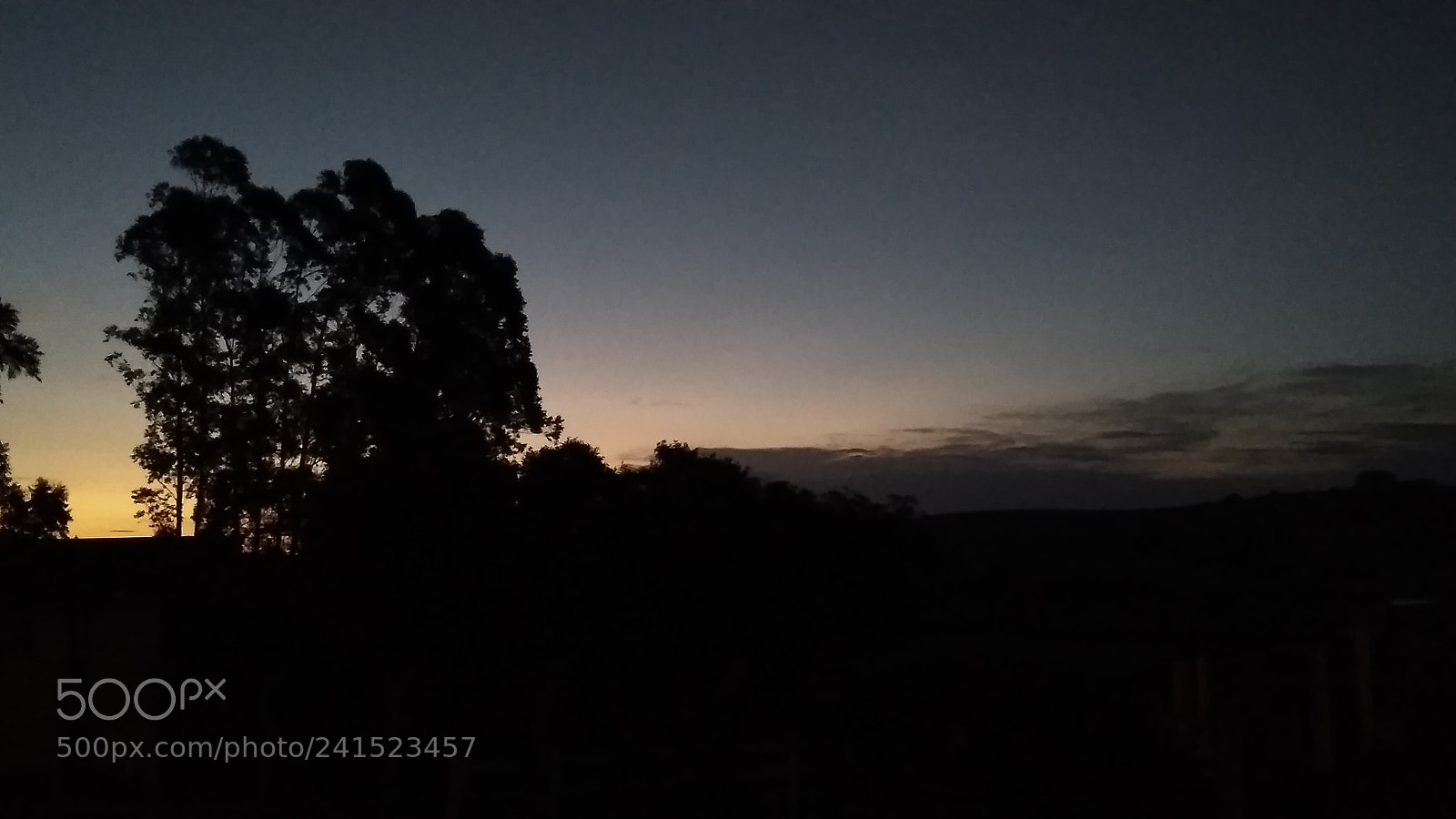 Xiaomi Redmi 4A sample photo. Untitled photography