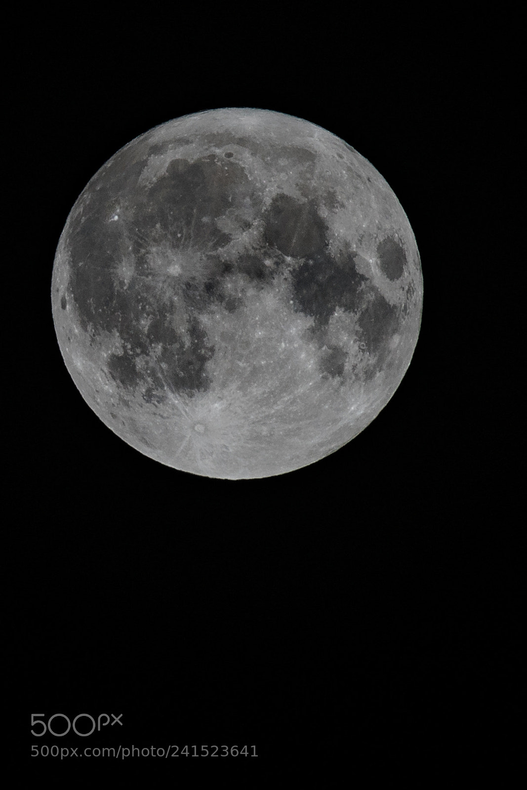 Sony a7 II sample photo. Jan 2018 new year supermoon! photography