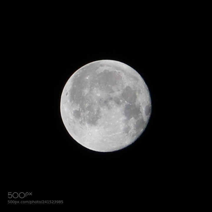Canon EOS 750D (EOS Rebel T6i / EOS Kiss X8i) sample photo. Night moon photography