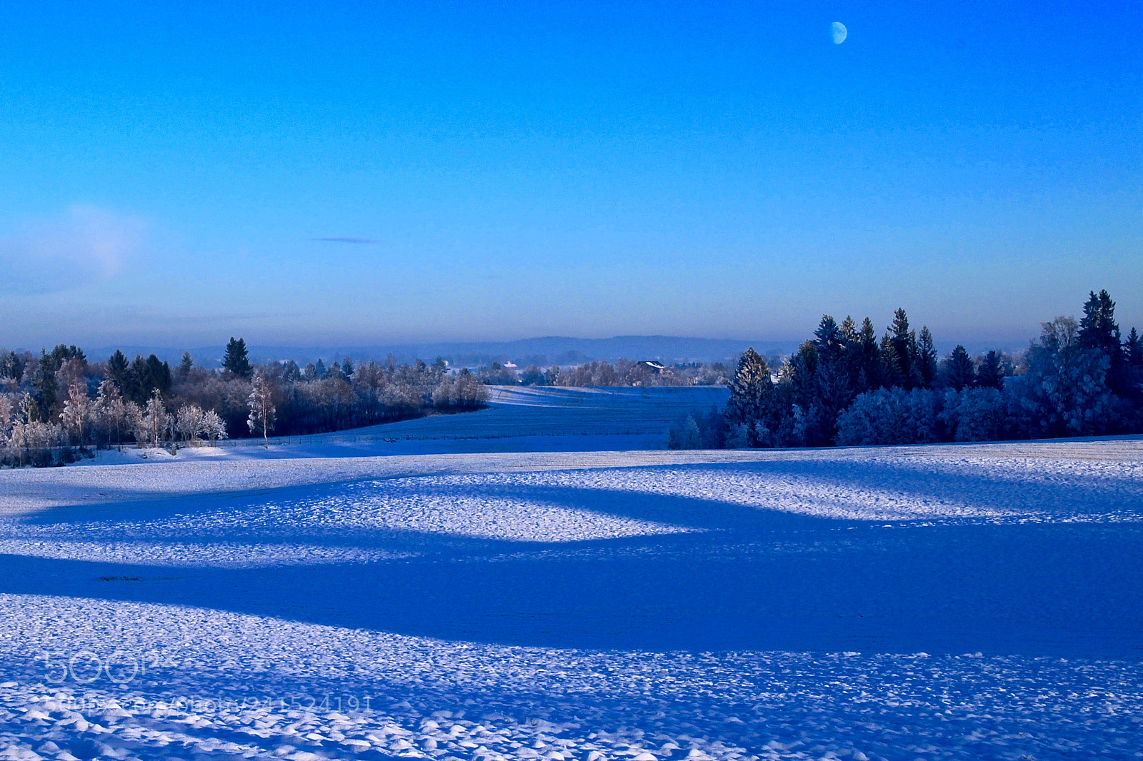 Canon EOS 500D (EOS Rebel T1i / EOS Kiss X3) sample photo. Blue winter photography