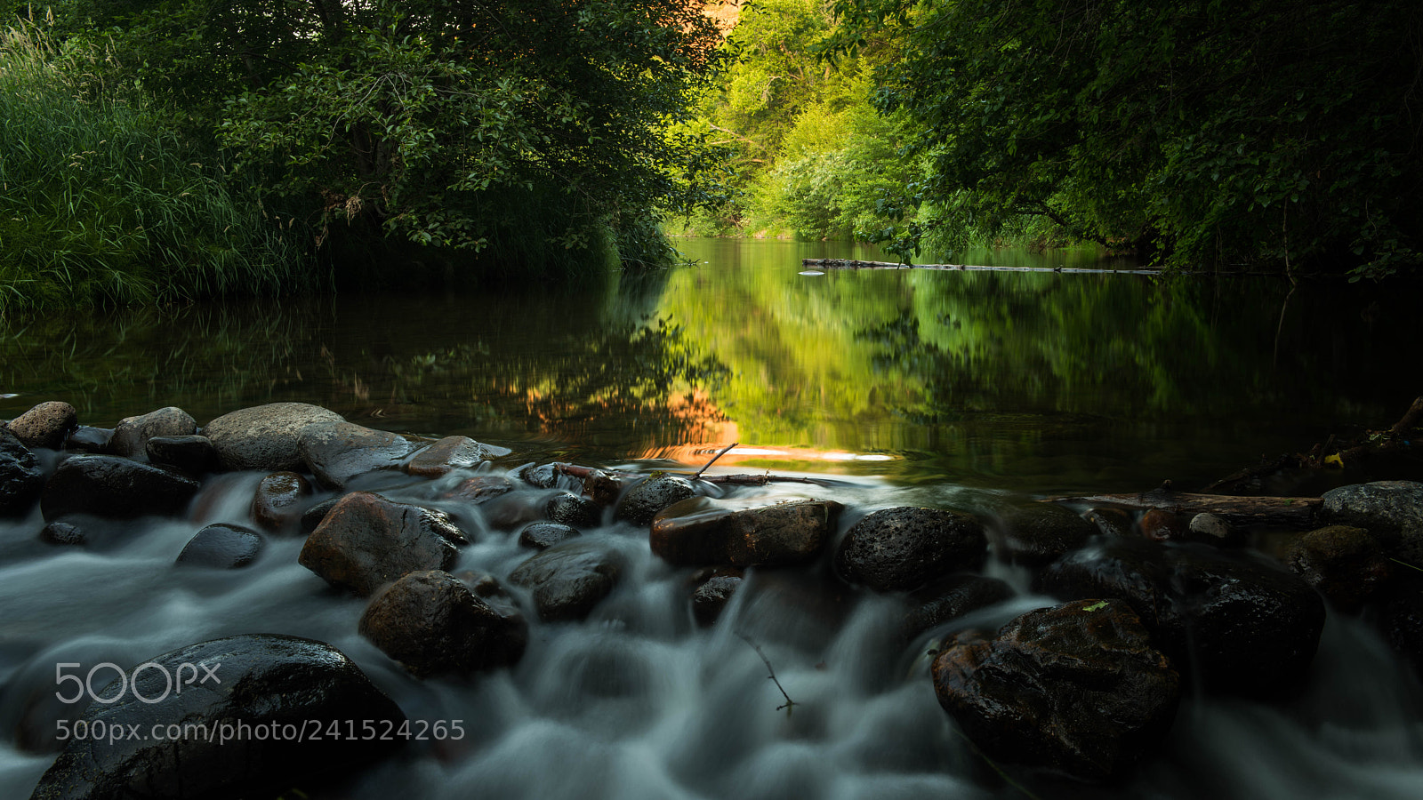 Nikon D810 sample photo. Light and shade photography