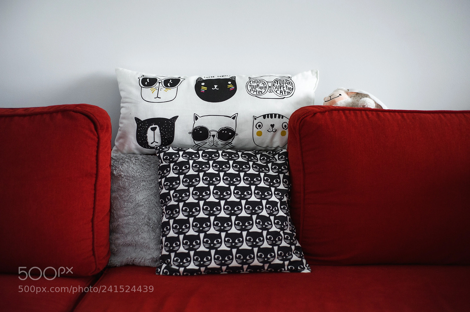 Nikon D700 sample photo. 6/365 photography
