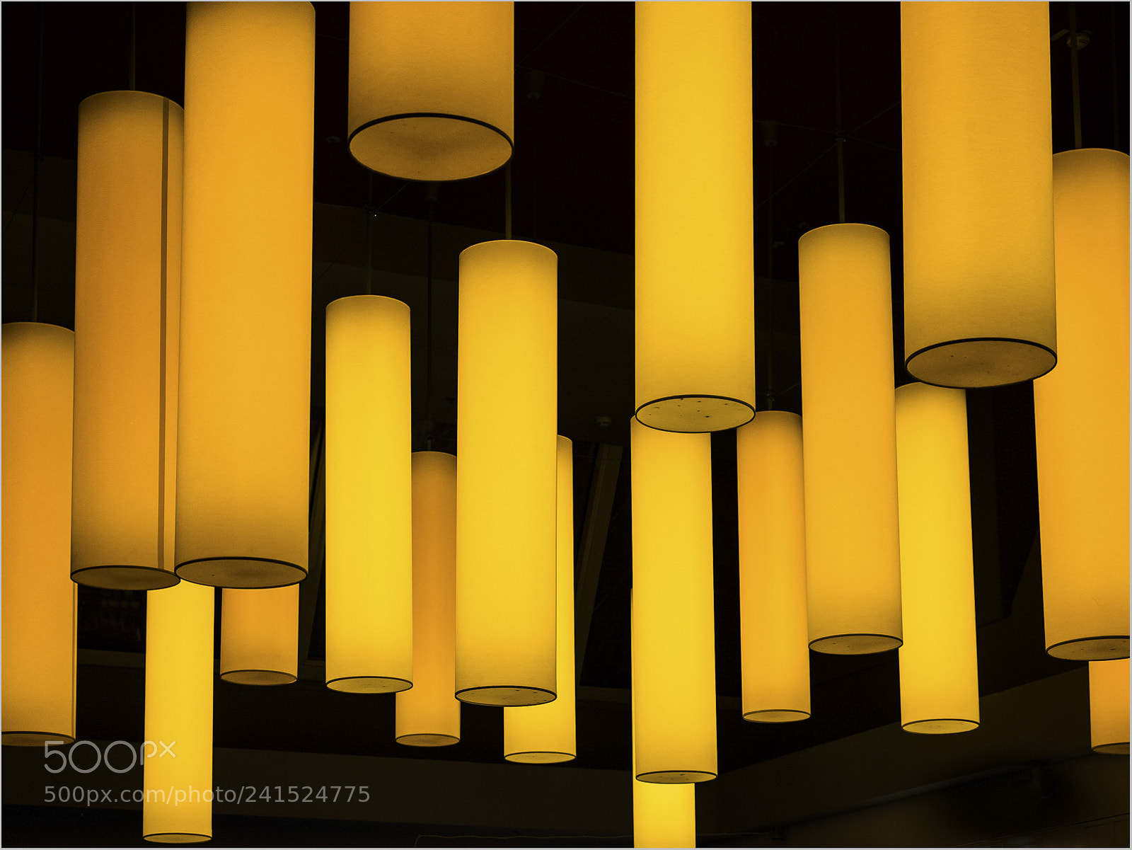 Olympus OM-D E-M1 sample photo. Yellow light photography