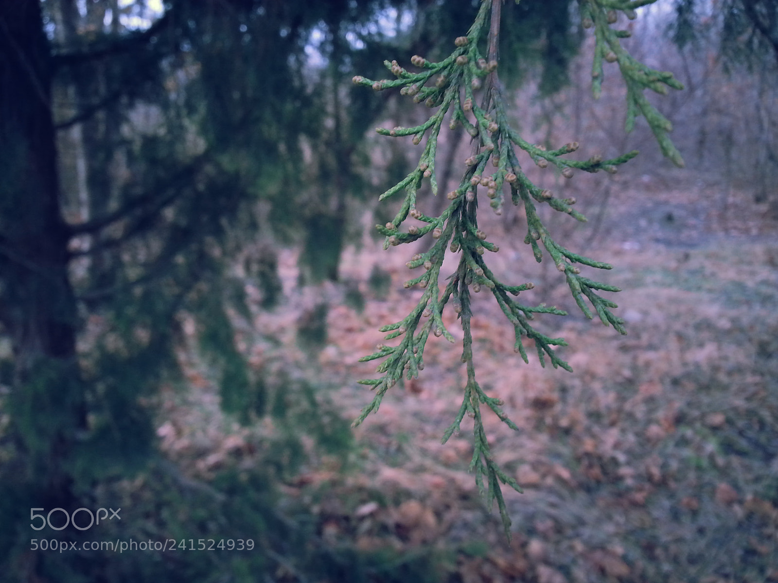 Samsung Galaxy Note2 sample photo. Untitled photography