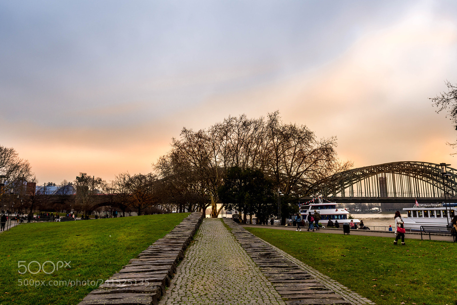 Nikon D7200 sample photo. The path to bridge photography