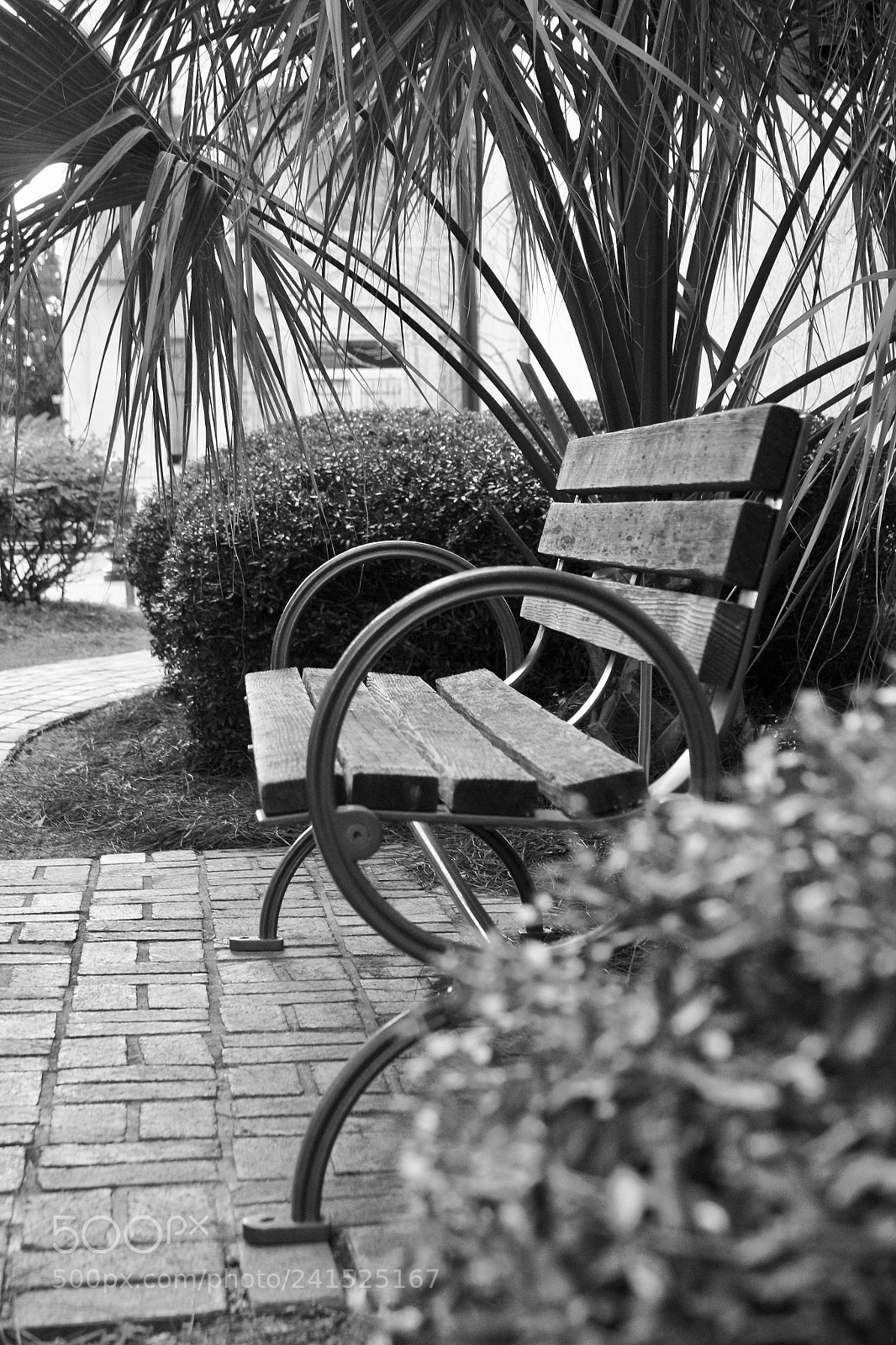 Canon EOS 700D (EOS Rebel T5i / EOS Kiss X7i) sample photo. Untitled photography