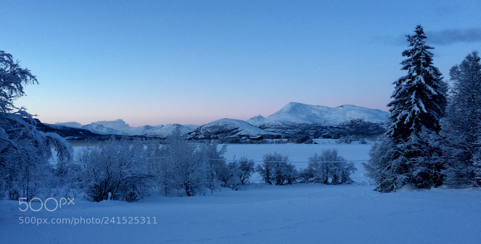 Apple iPhone 5s sample photo. Skånland photography