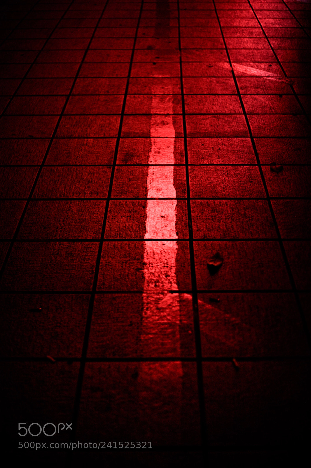 Canon EOS 5D sample photo. Untitled photography