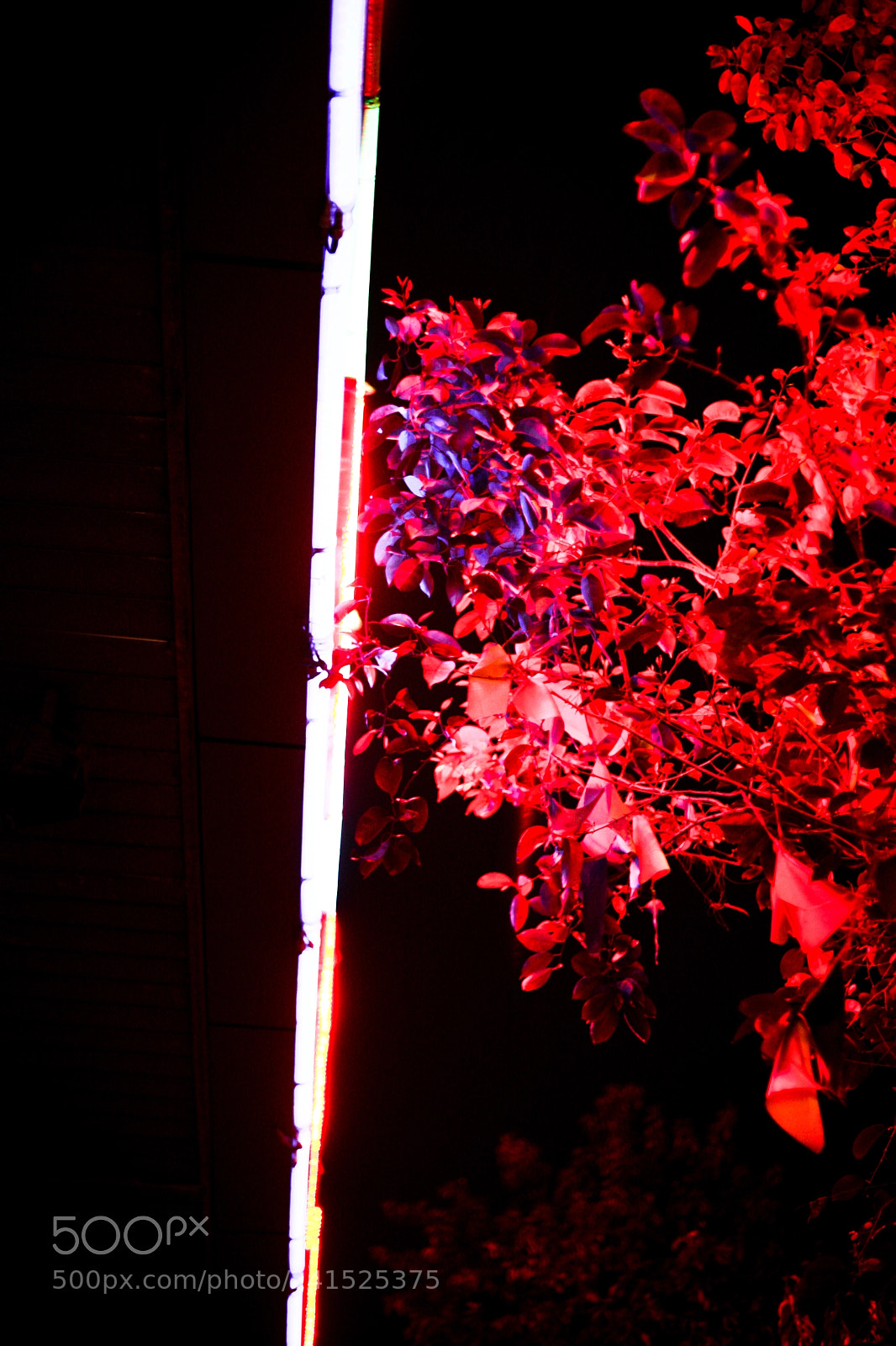 Canon EOS 5D sample photo. Untitled photography