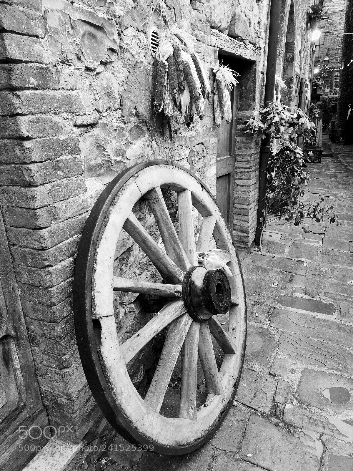 HUAWEI Mate 10 Lite sample photo. B&w photography