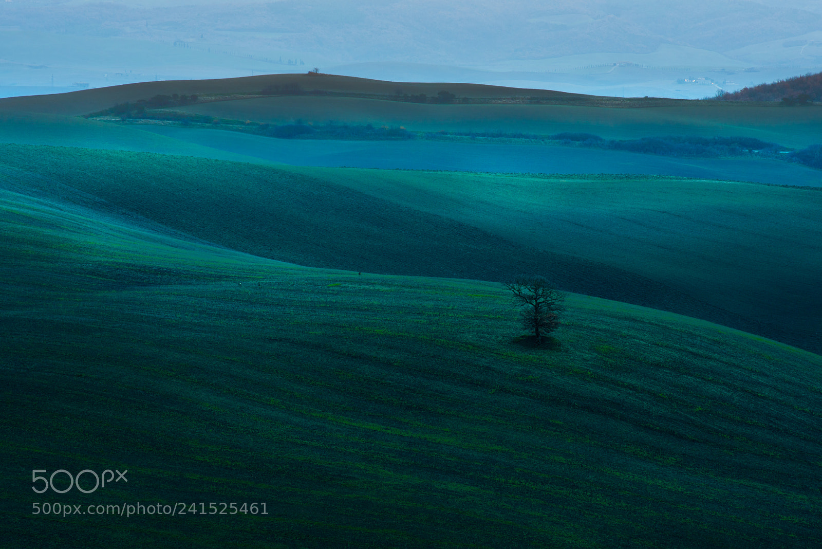 Nikon D810 sample photo. Toscana photography