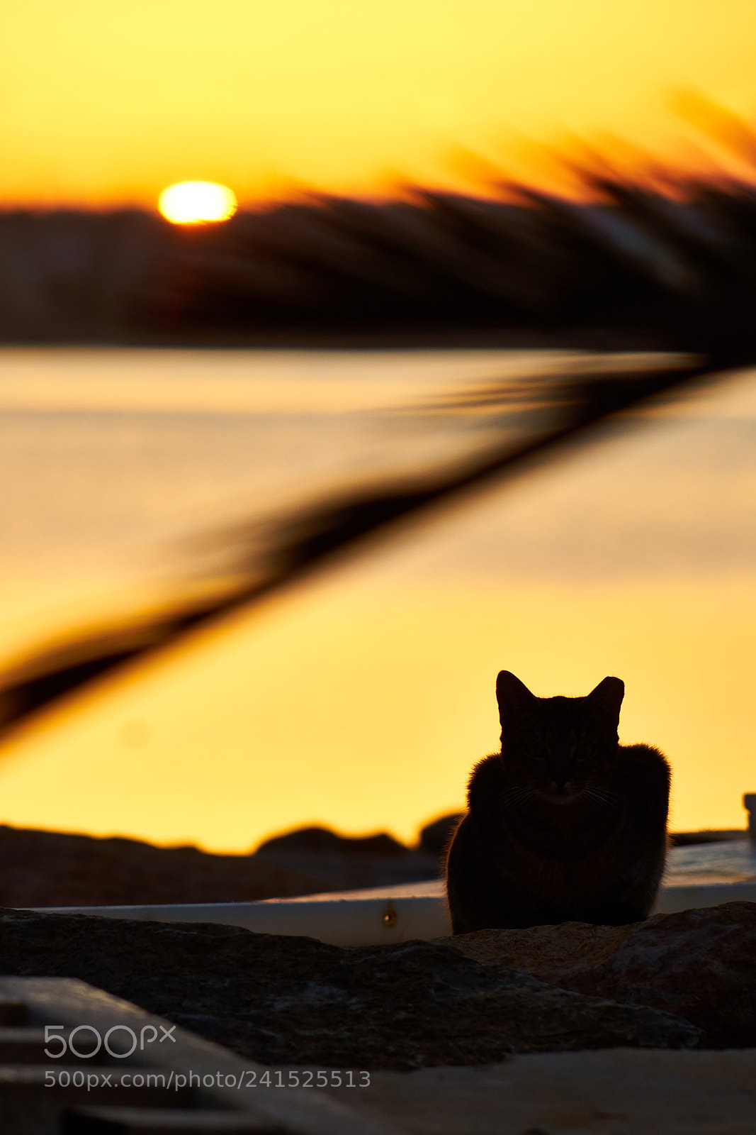 Sony a7 sample photo. Esperando a la noche photography