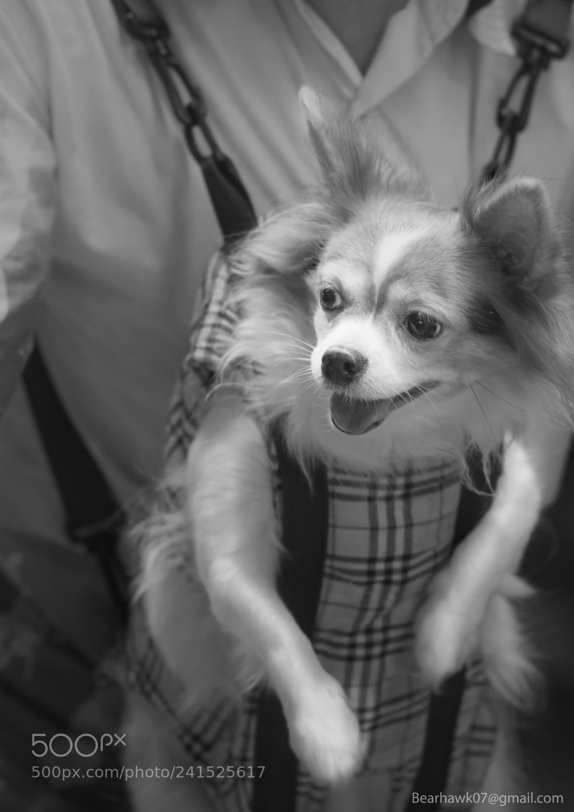 Nikon D7200 sample photo. Copy photography