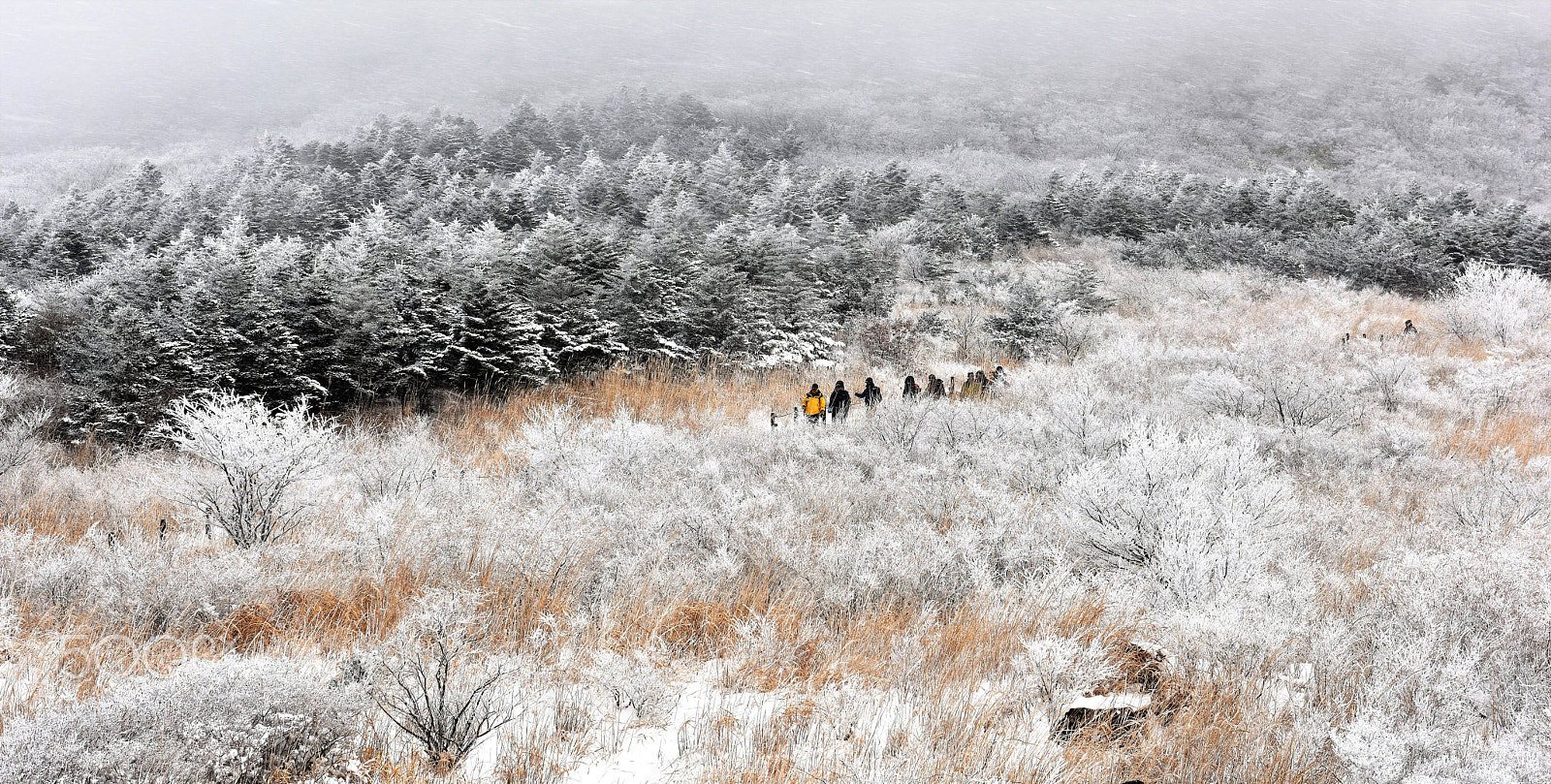 Nikon AF-S Nikkor 24-70mm F2.8G ED sample photo. Mt. mudeung photography