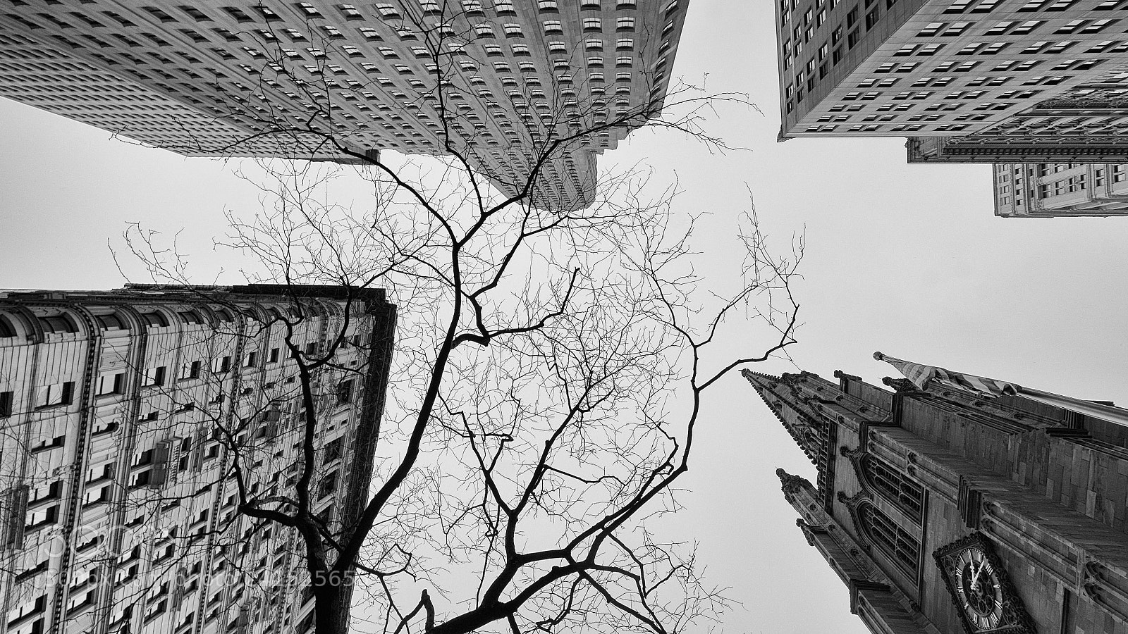 Sony a7 II sample photo. Ny photography