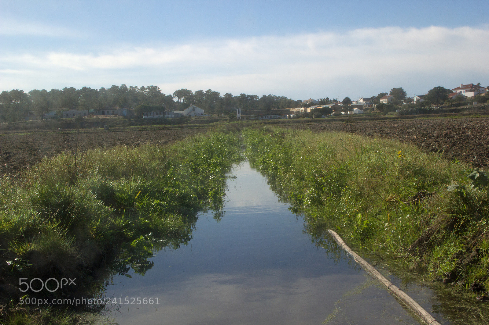 Canon EOS 60D sample photo. Winter in portugal photography